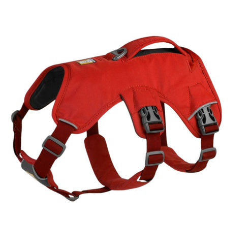 RuffWear Web Master Dog Harness with Handle Large/XLarge Red Sumac Poudre Pet & Feed Supply 3