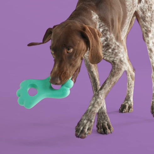 Yomp TugPup Silicone Dog Toy poudrefeed.com 2