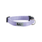 RC PETS Dog Primary Clip Collar, Lilac, L, 1"/15" - 25" - Poudre Pet and Feed Supply