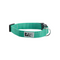 RC PETS Dog Clip Collar Primary, L, 1"/ 15" - 25", Parakeet - Poudre Pet and Feed Supply