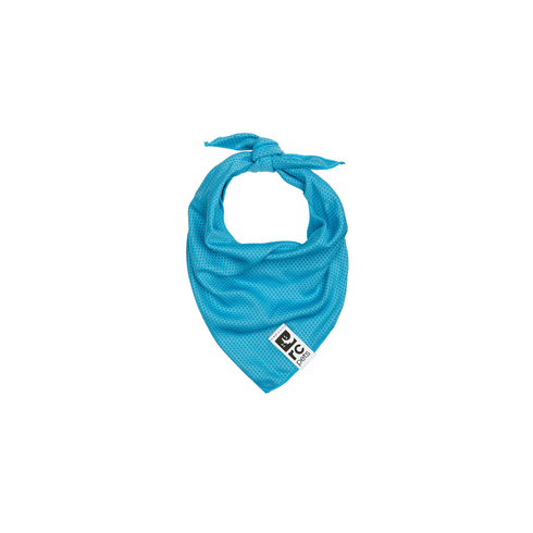 RC PETS Dog Zephyr Cooling Bandana, Aqua, M/L, 15" - 25" - Poudre Pet and Feed Supply