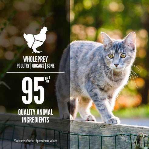 Orijen Duck & Chicken in Bone Broth Wet Cat Food 5.5oz - Poudre Pet & Feed Supply 3