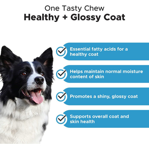 Pet Honesty Salmon Skin Health Tasty Chews for Dogs 9.5oz poudrefeed.com 2