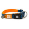 Max&Molly CSmart ID Dog Collar Matrix Orange Medium - Poudre Pet & Feed Supply