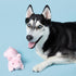Fluff & Tuff Petey Pig Toy - Poudre Pet & Feed Supply 5