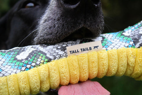 Tall Tails Crunch Plush Snake 23" Dog Toy - Poudre Pet & Feed Supply 6