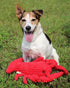 Tall Tails Crunch Lobster 14" Dog Toy - Poudre Pet & Feed Supply 5