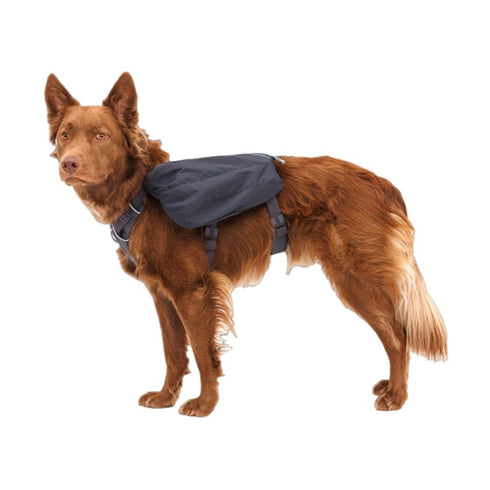RuffWear Front Range Day Pack Medium Basalt Gray - Poudre Pet & Feed Supply 2