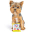 Huxley & Kent Tiny Tuff Pup 'N Pop 2Pk Dog Toys - Poudre Pet & Feed Supply 4