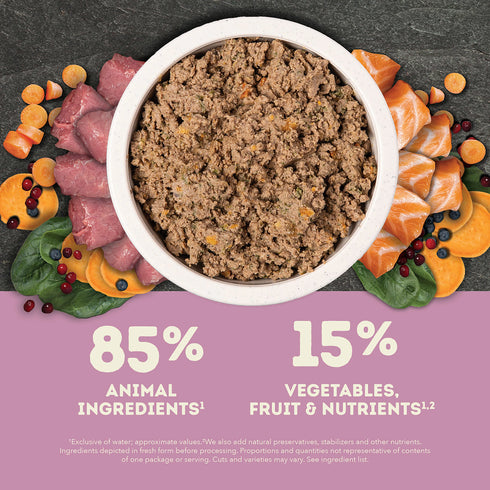 Acana Premium Pâté Wet Dog Food - Lamb - 12.5oz Can