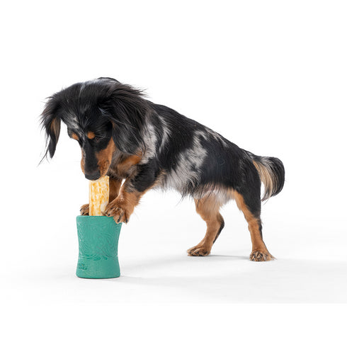 WEST PAW Funnl Dog Chew Toy - Interactive Treat Toys for Dogs - Toy Fillable with Earth Animal No-Hide Chews - Large 4.25" Kelp | Made in USA Visit the WEST PAW Store