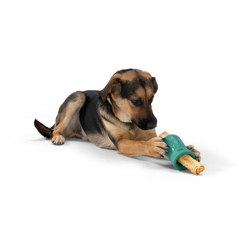 WEST PAW Funnl Dog Chew Toy - Interactive Treat Toys for Dogs - Toy Fillable with Earth Animal No-Hide Chews - Large 4.25" Kelp | Made in USA Visit the WEST PAW Store