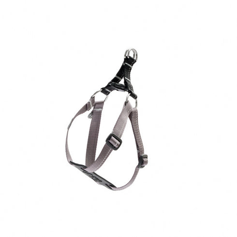 RC PETS Dog Petite Step In Harness, Black, PS, 13" - 18" - Poudre Pet and Feed Supply