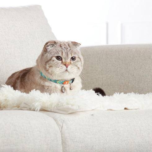 Max&Molly Smart ID Cat Collar Vintage - Poudre Pet & Feed Supply2