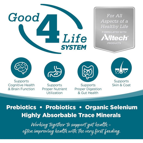 NutriSource Chicken & Peas Grain Free Dry Dog Food 12lb - Poudre Pet & Feed Supply 3