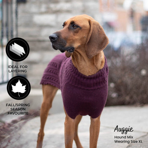 Shedrow K9 Brentwood Cable Knit Dog Sweater Plus L Wine Tasting - Poudre Pet & Feed Supply 2