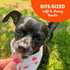 Buddy Biscuits Peanut Butter Soft Mini Dog Treats 20oz Jar - Poudre Pet & Feed Supply 5
