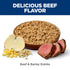 Hill's Science Diet Adult 7+ Wet Dog Food - Beef & Barley - 13oz Can