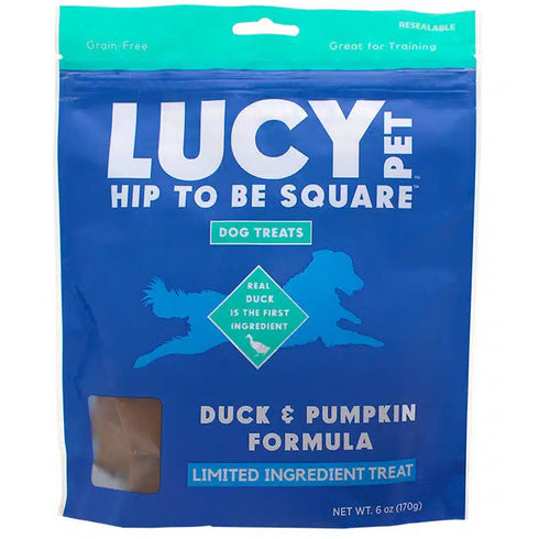 Lucy Pet Hip to Be Square Duck Pumpkin Dog Treats 6oz - Poudre Pet and Feed Supply