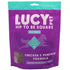 Lucy Pet Products Hip to Be Square Chicken Pumpkin Dog Treats 6oz - Poudre Pet and Feed Supply