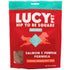 Lucy Products Pet Hip to Be Square Salmon Pumpkin Dog Treats 6oz - Poudre Pet and Feed Supply