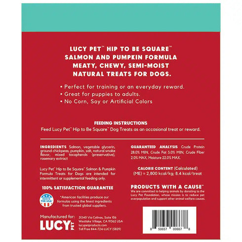 Lucy Products Pet Hip to Be Square Salmon Pumpkin Dog Treats 6oz - Poudre Pet and Feed Supply