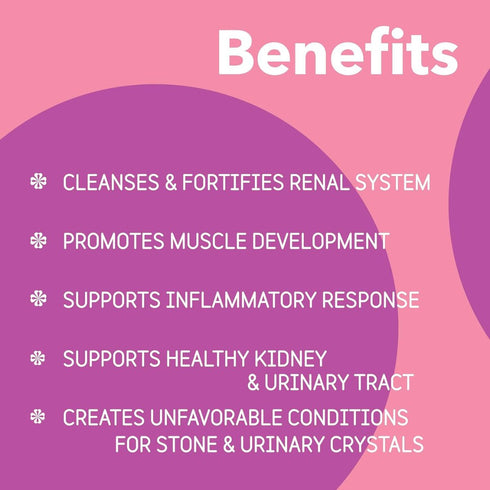 InClover BioRen Kidney Health poudrefeed.com 3