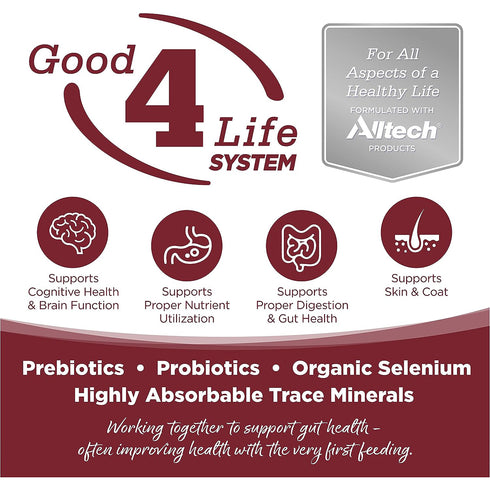 NutriSource Beef & Rice Recipe Dry Dog Food 26lb - Poudre Pet and Feed Supply