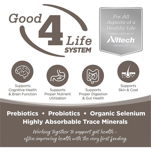 NutriSource Senior Chicken Rice Dry Dog Food 26lb - Poudre Pet and Feed Supply