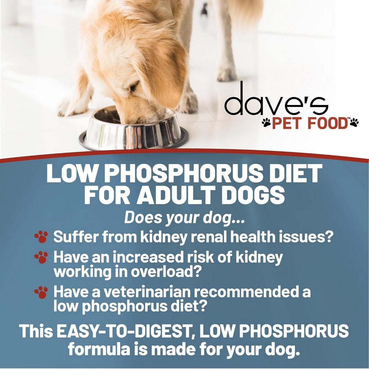 Dave's Pet Food Restricted Phosphorus Crumbles Chicken Dry Dog Food 4l Poudre Pet and Feed Supply