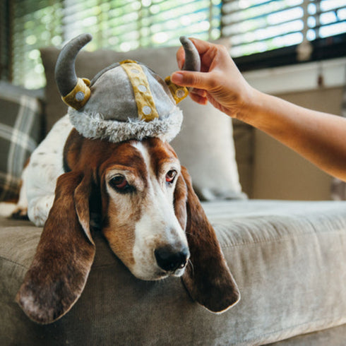 P.L.A.Y. Hat Shoppe Viking Dog Toy
