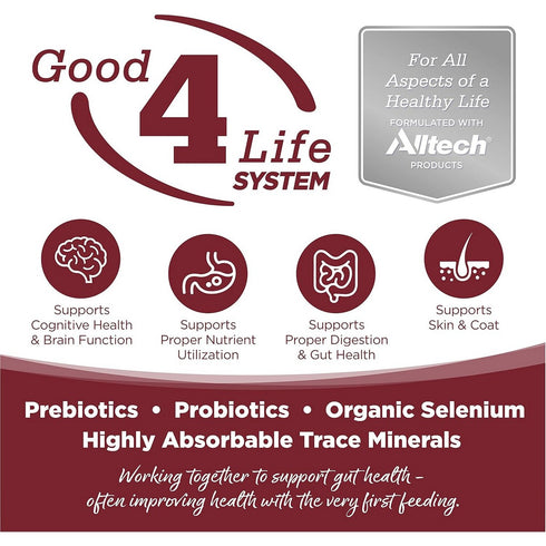 NutriSource Beef & Rice Healthy Dry Dog Food 12lb - Poudre Pet & Feed Supply 2