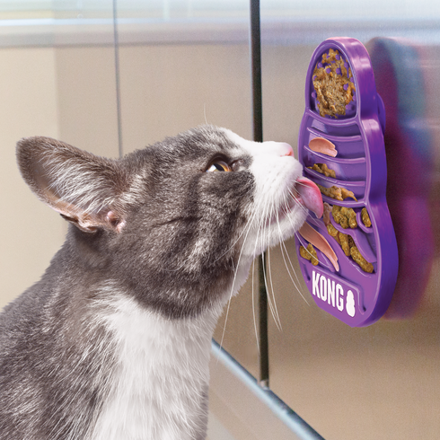 KONG Licks Kitty, Small - Poudre Pet and Feed Supply