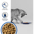 Bixbi Cat Rawbble Freeze-Dried Turkey Raw Cat Food 3.5oz - Poudre Pet & Feed Supply 3