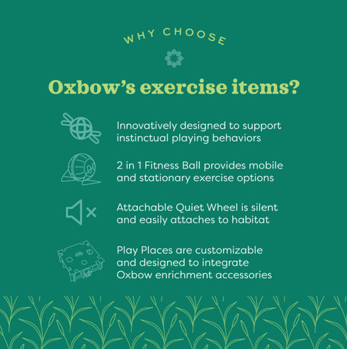 OXBOW Enriched Life Climbing Rope Toy - Poudre Pet & Feed Supply 6