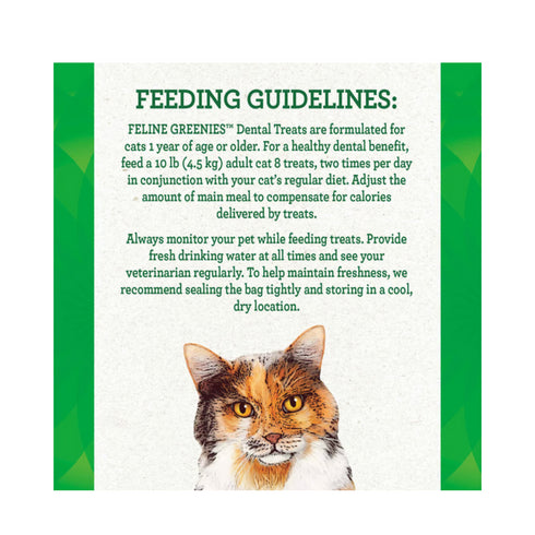Greenies Savory Salmon Flavor Cat Dental Treats 2.1Oz - Poudre Pet and Feed Supply