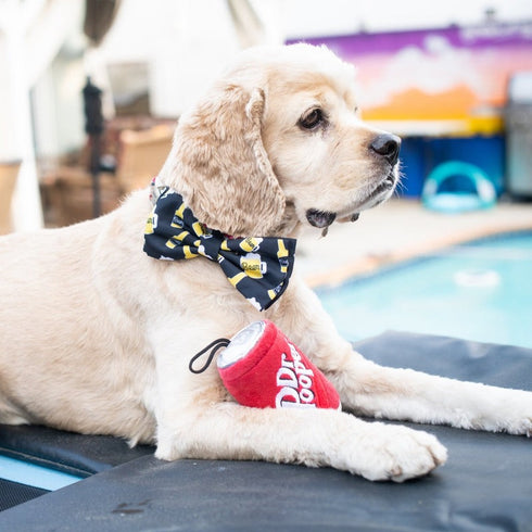 Huxley & Kent Suds Bow Tie Small - Poudre Pet & Feed Supply 3