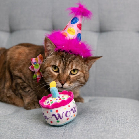 Huxley & Kent Mewow Cake Cat Toy Poudre Pet & Feed Supply 2