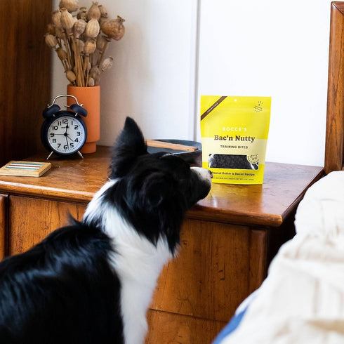 Bocce's Bakery Everyday Training Bites Bacon Nutty 6 oz