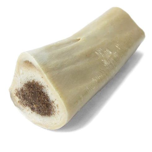 The Natural Dog Company 5" Filled Bone - Bacon and Cheese Flavor Dog Treat - Poudre Pet and Feed Supply