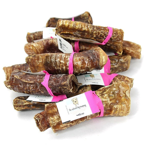 Natural Dog Company 6" Wrapped Trachea Dog Treats Poudre Pet & Feed Supply