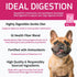 Square Pet Ideal Digestion Dry Dog Food 4.4lbs - Poudre Pet and Feed Supply