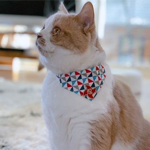 Necoichi Ninja Cat Bandana Collar Blue Poudre Pet & Feed Supply 6