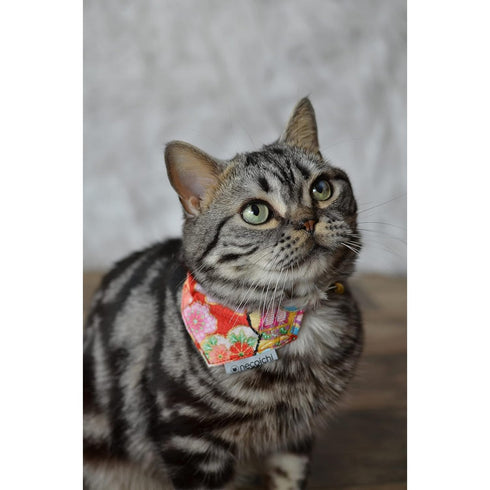 Necoichi Bandana Cat Collar with Air Tag Pocket Blossom Red Poudre Pet & Feed Supply 5