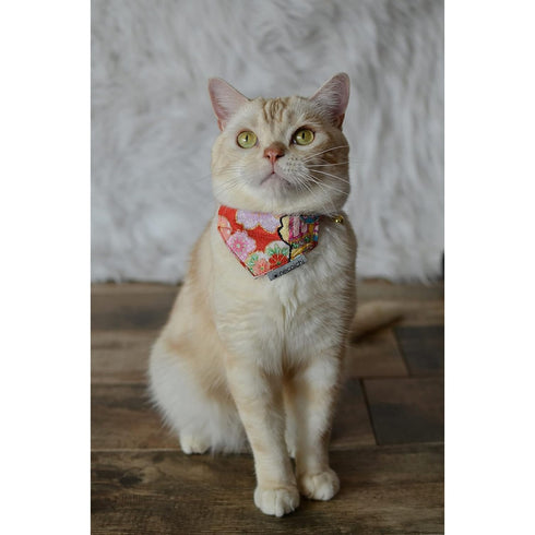 Necoichi Bandana Cat Collar with Air Tag Pocket Blossom Red Poudre Pet & Feed Supply 6