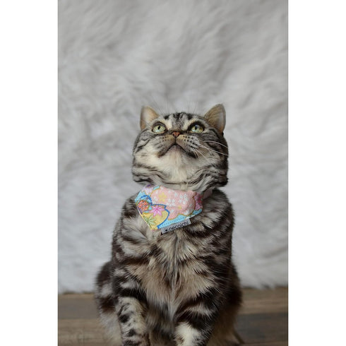 Necoichi Bandana Cat Collar with Air Tag Pocket Blossoms Baby Blue 6
