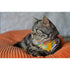 Necoichi Bandana Cat Collar with Air Tag Pocket Yukata Yellow Poudre Pet & Feed Supply 5