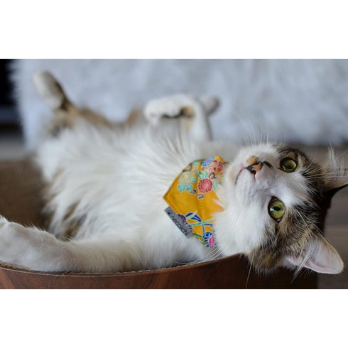 Necoichi Bandana Cat Collar with Air Tag Pocket Yukata Yellow Poudre Pet & Feed Supply 6