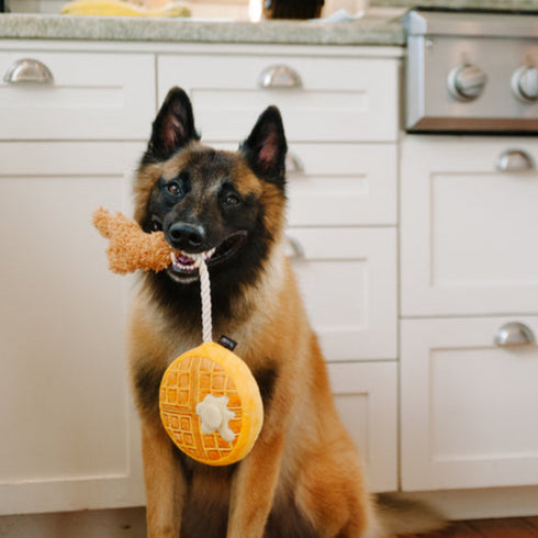 P.L.A.Y. Barking Brunch Chicken & Waffles