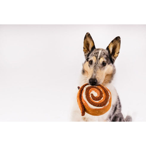 P.L.A.Y. Pup Cup Cafe Cinna-bone Dog Toy Poudre Pet & Feed Supply 2